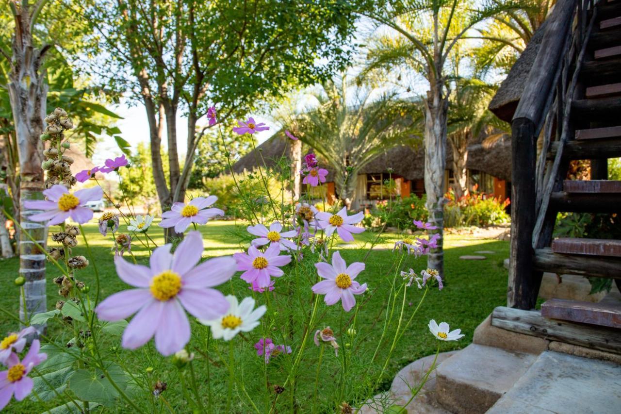 Lion'S Den Guesthouse 옷지와롱고 외부 사진
